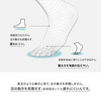 結ばない靴紐 AIR CATERPY エアーキャタピー
