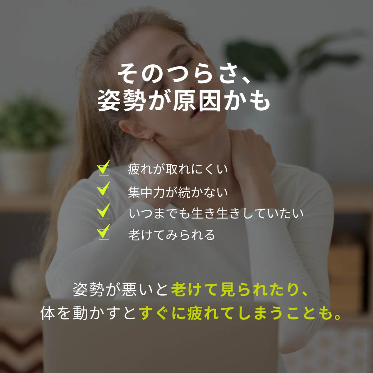 CATERPY エナジーポイント