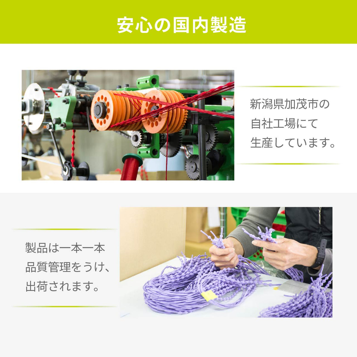 CATERPY エナジーポイント