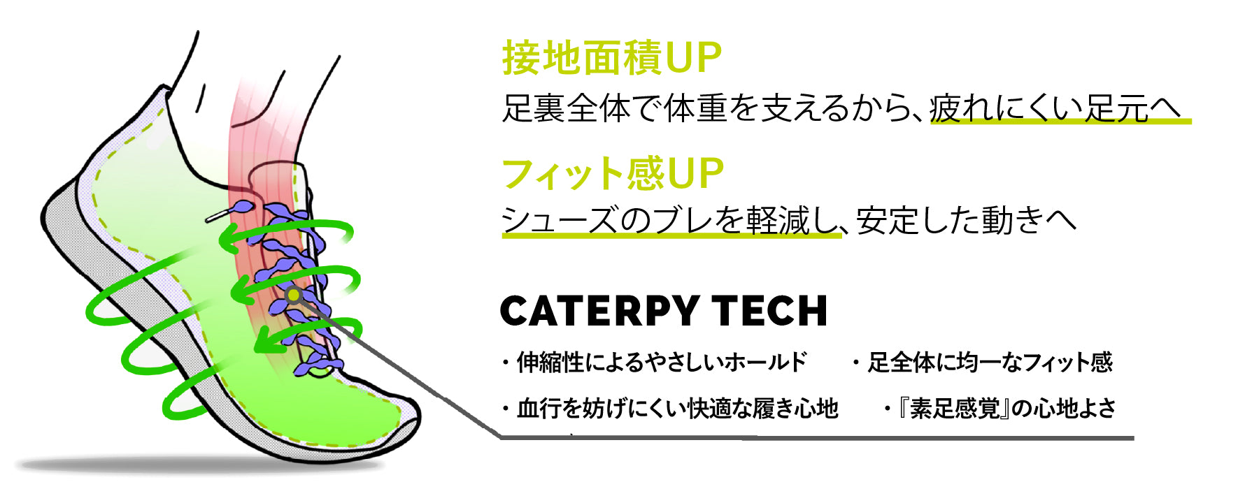 伸縮性靴ひもに関する研究結果